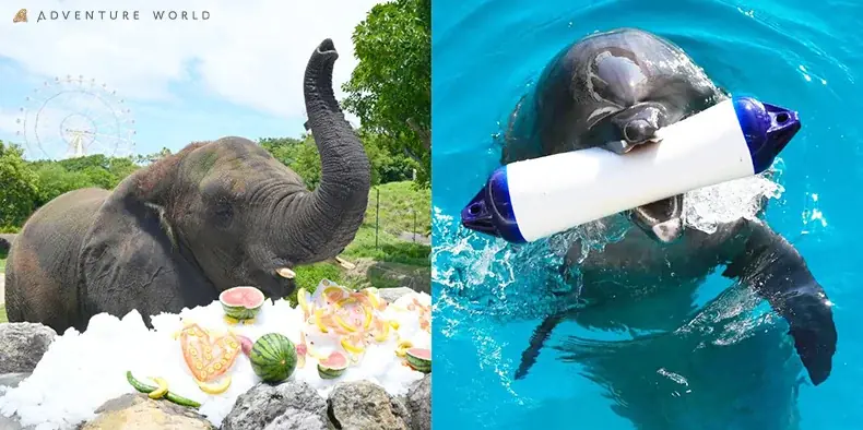 敬老の日の動物感謝