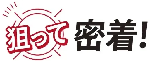 <狙って密着!>細かい″スポット”を狙って、カバーもぼかしもできるミニサイズのメイクパフを9月11日に新発売 画像 2