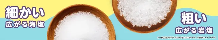 株式会社ゲート・ワンと産業能率大学 経営学部 小々馬ゼミの産学連携プロジェクト 画像 6