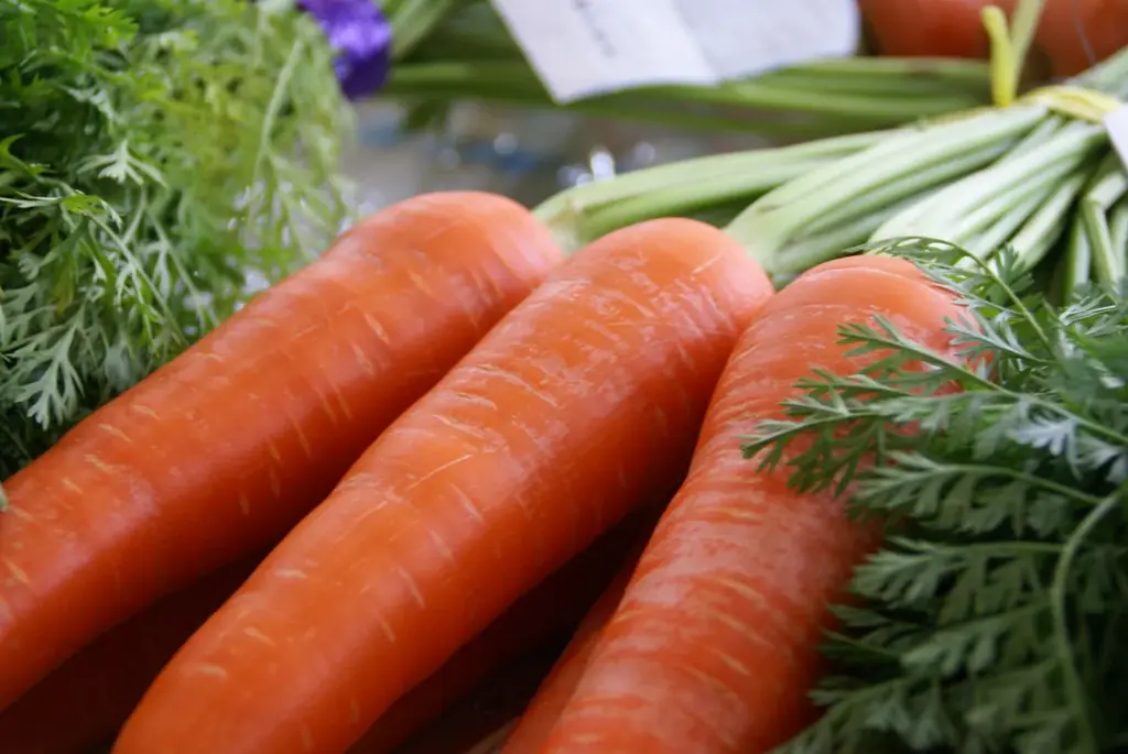 ゴーゴーカレー史上初の【自治体コラボ&にんじん入り】東京都清瀬市の市制施行55周年を祝う「キヨセゴーゴーカレー」限定5,555食で登場! 画像 2