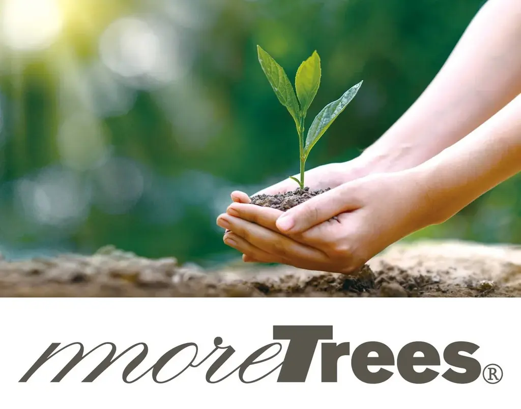 サステナブル傘ブランド『SiNCA by Wpc.』、累計寄付額900万円超を森林保全団体『more trees』へ寄付　傘を選ぶことで持続可能な社会へ 画像 2