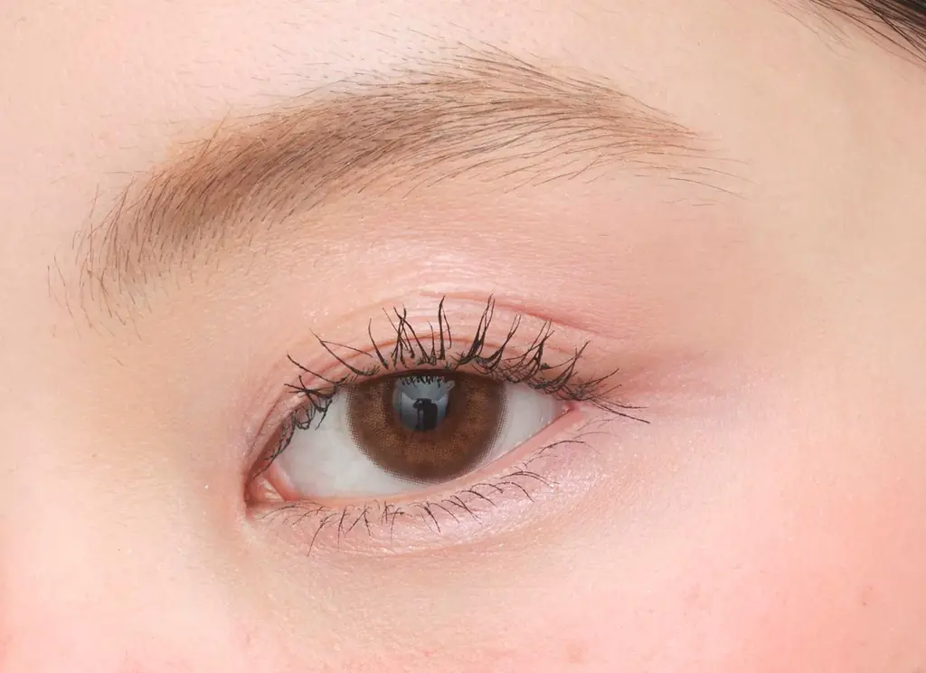 【花王ビューティリサーチ＆クリエーションセンター】2025年日中韓メイクトレンド分析とこれからのメイクスタイルを提案！ 画像 8