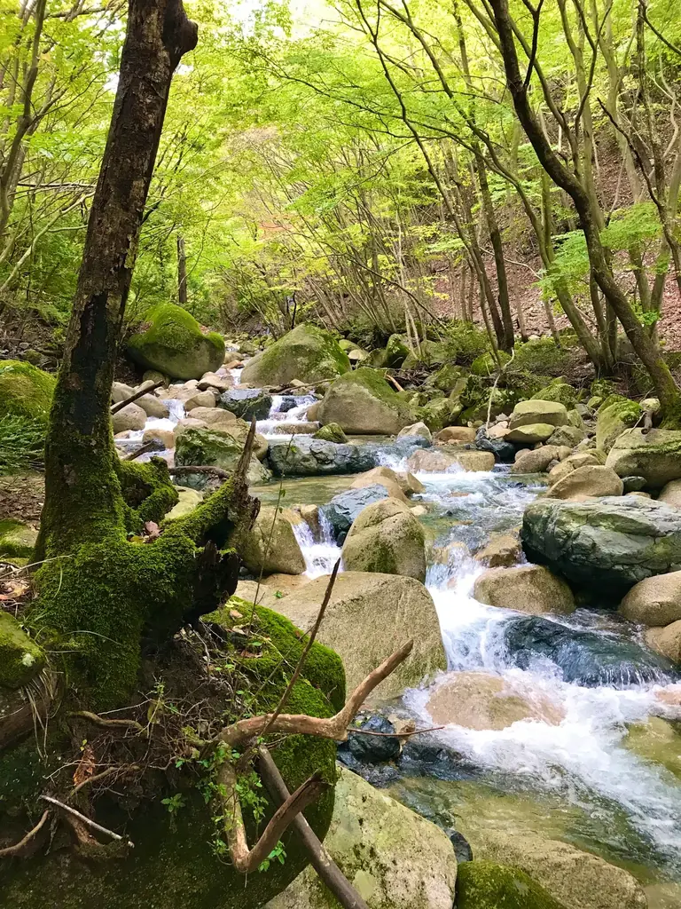 秋の歴史探訪！菰野町「千草街道」探訪ハイキング参加者募集 画像 5