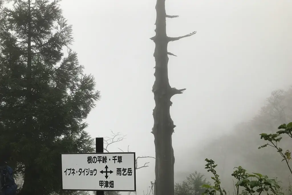 秋の歴史探訪！菰野町「千草街道」探訪ハイキング参加者募集 画像 6