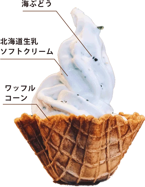 人気商品の「生海ぶどうソフトクリーム」に待望の新フレーバー”チョコ味”が登場！チョコレートのコク・なめらかな口溶け×海ぶどうで「海ぶどう×スイーツ」の新境地 画像 4
