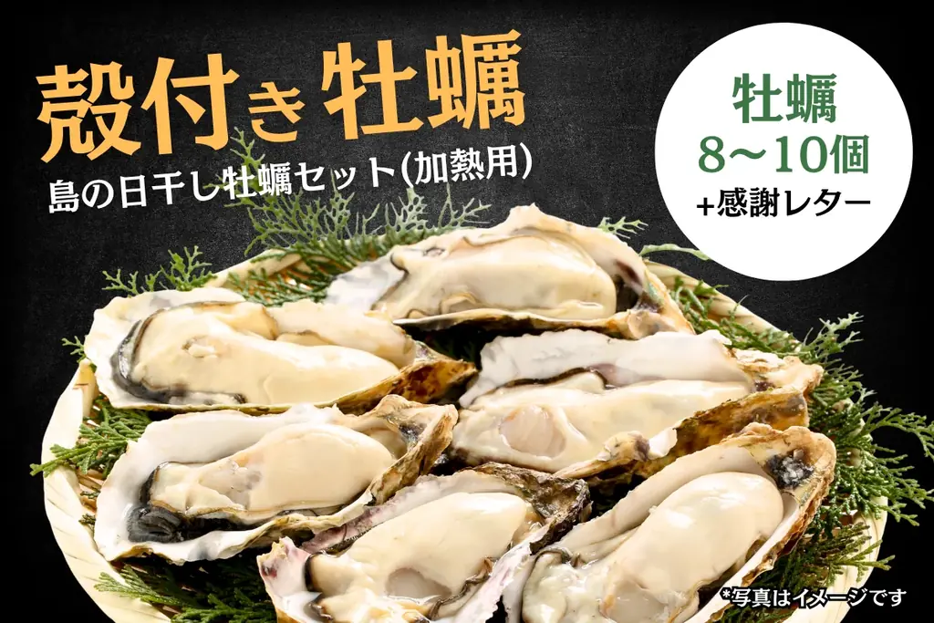 クラウドファンディング680万円・支援者630人突破。津波で失った筏を取り戻すカキ漁師の挑戦。気仙沼大島から全国へ。一般販売初の「島の日干し牡蠣」と「島のホタテ」を返礼品に。 画像 2