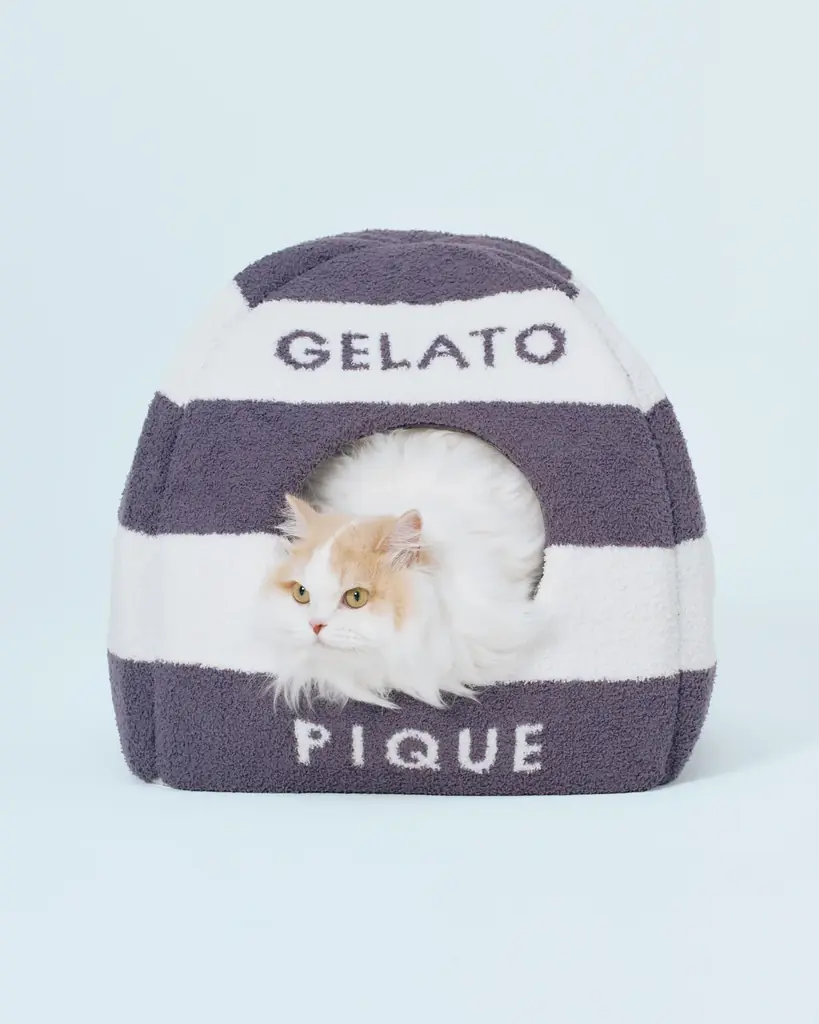 【GELATO PIQUE CAT & DOG(ジェラート ピケ キャット&ドッグ)】定番アイテムがリニューアル！新色・新サイズや新アイテムが9月16日(火)より登場 画像 10