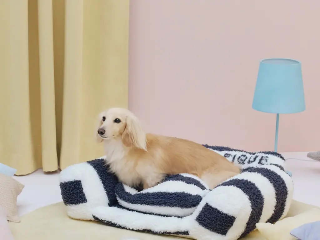 【GELATO PIQUE CAT & DOG(ジェラート ピケ キャット&ドッグ)】定番アイテムがリニューアル！新色・新サイズや新アイテムが9月16日(火)より登場 画像 11