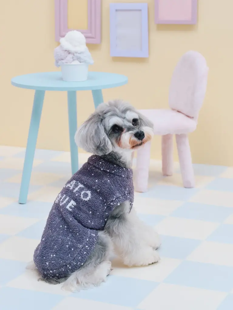 ジェラート ピケCAT&DOGが新色&新サイズで9/16発売｜ベスト