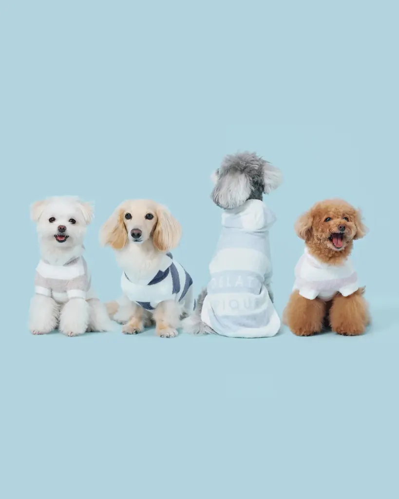 【GELATO PIQUE CAT & DOG(ジェラート ピケ キャット&ドッグ)】定番アイテムがリニューアル！新色・新サイズや新アイテムが9月16日(火)より登場 画像 3