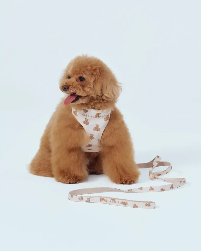 【GELATO PIQUE CAT & DOG(ジェラート ピケ キャット&ドッグ)】定番アイテムがリニューアル！新色・新サイズや新アイテムが9月16日(火)より登場 画像 5