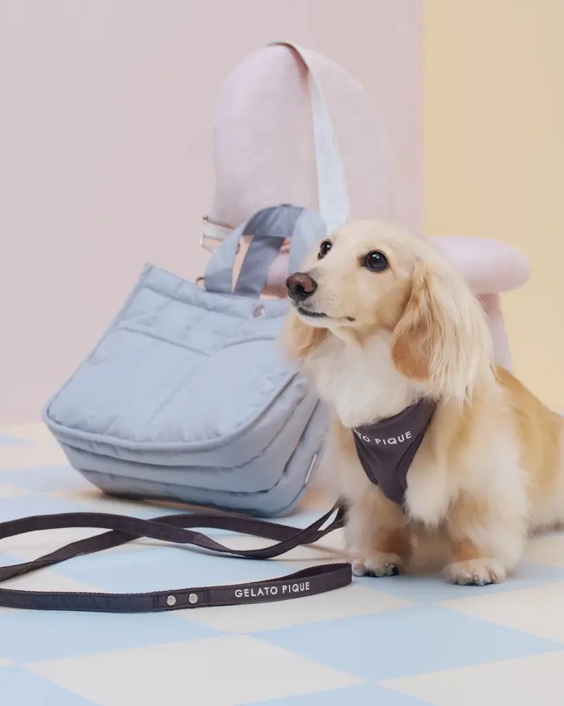 【GELATO PIQUE CAT & DOG(ジェラート ピケ キャット&ドッグ)】定番アイテムがリニューアル！新色・新サイズや新アイテムが9月16日(火)より登場 画像 6