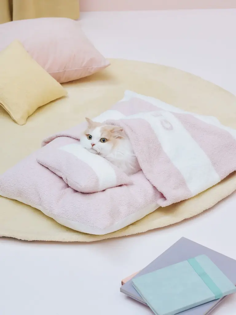 【GELATO PIQUE CAT & DOG(ジェラート ピケ キャット&ドッグ)】定番アイテムがリニューアル！新色・新サイズや新アイテムが9月16日(火)より登場 画像 9