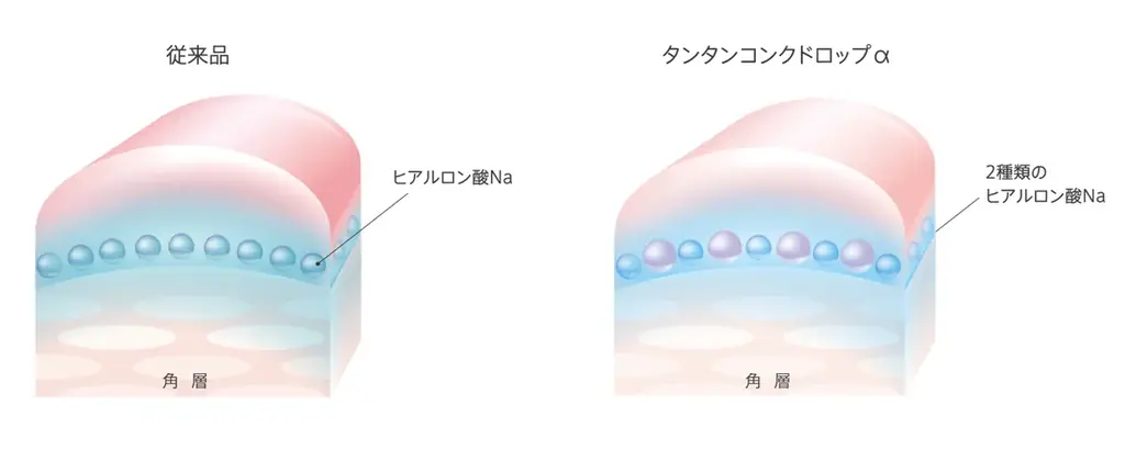 タンタン弾むようなハリ肌へ導く人気クリームが進化！ヒアルロン酸*¹ (保湿)を２倍*²増量配合した、瞬感密着 美顔クリーム「DEW タンタンコンクドロップα」 2025年9月20日（土）新発売 画像 5
