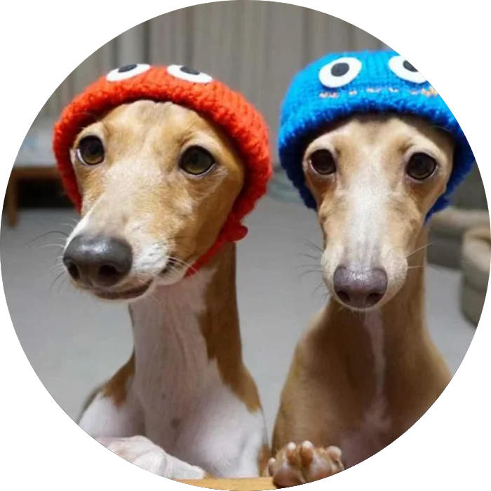 デジタルハーツクロスTokyo、「日本におけるゲームタイトルの成功ガイド　～ブランド戦略からカルチャライズまで～」開催のお知らせ 画像 2