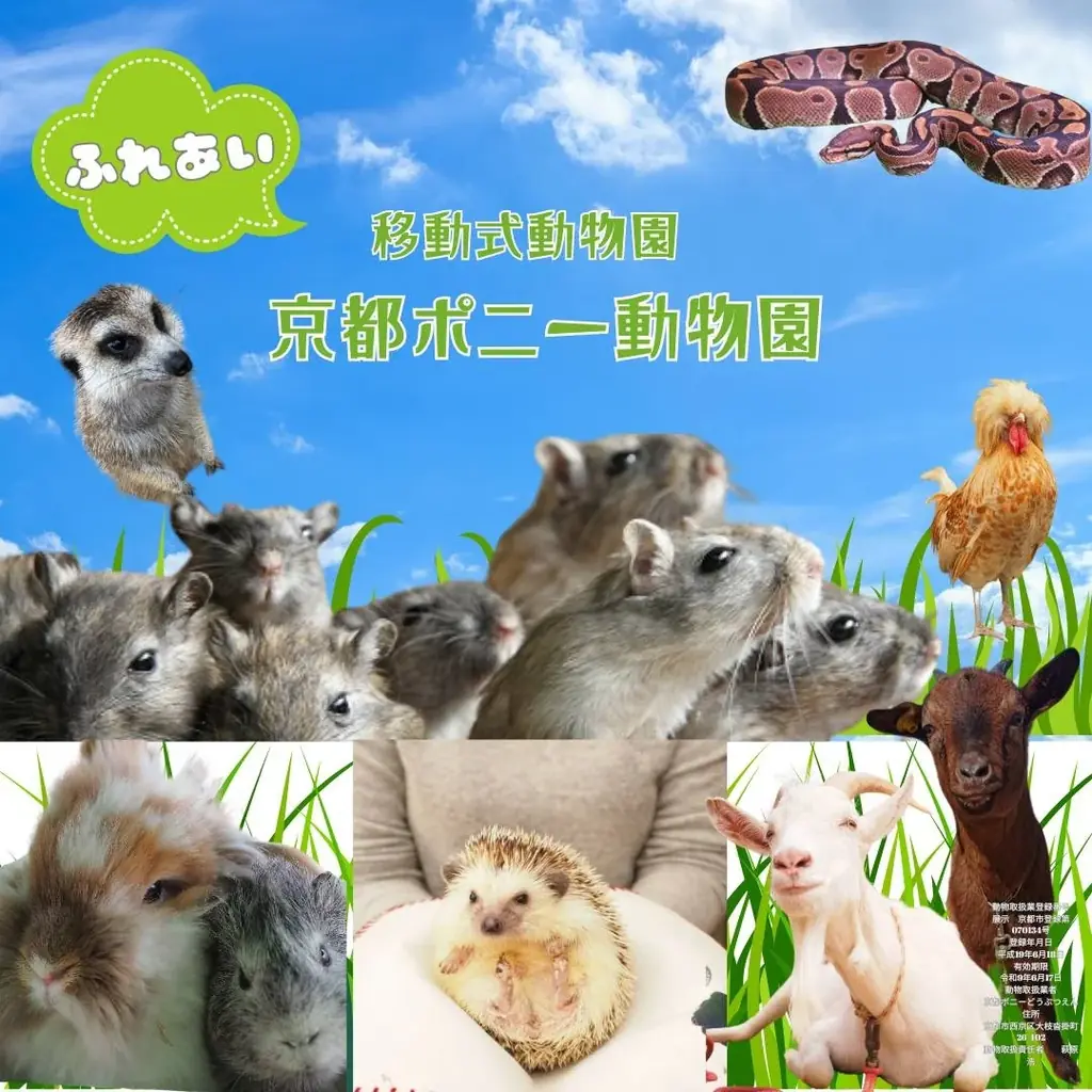 【昨年１０万人来場】平城京 秋の散楽フェスタ in平城宮跡歴史公園 朱雀門ひろば 【世界遺産】 画像 11