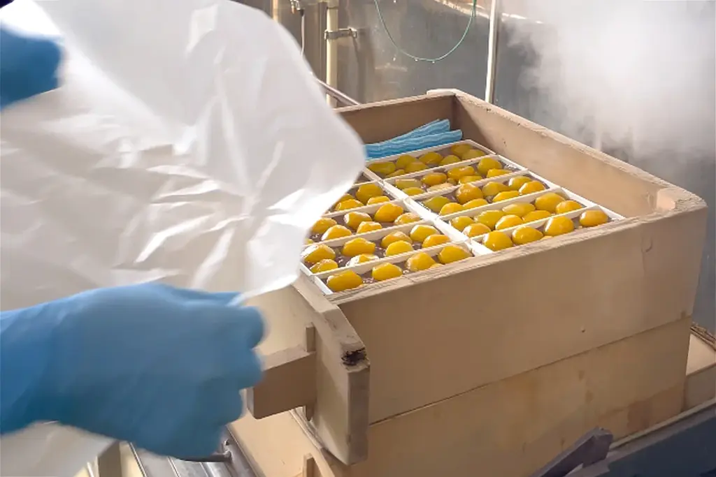 【秋彼岸限定】圧巻の栗ざんまい！蒸篭で蒸し上げる“本物“の味わい「生栗むし羊羹」が今年も登場！ 画像 11