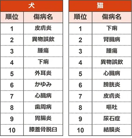 保険金請求が多いペットの傷病ランキング2025 画像 2