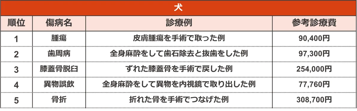 保険金請求が多いペットの傷病ランキング2025 画像 3
