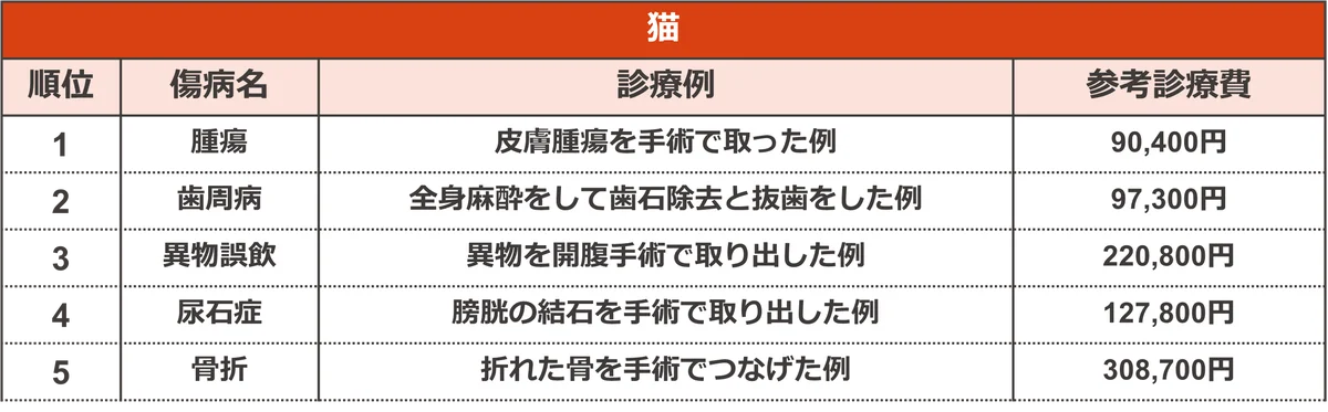 保険金請求が多いペットの傷病ランキング2025 画像 4