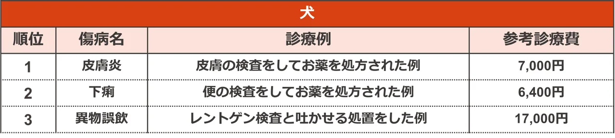 保険金請求が多いペットの傷病ランキング2025 画像 5