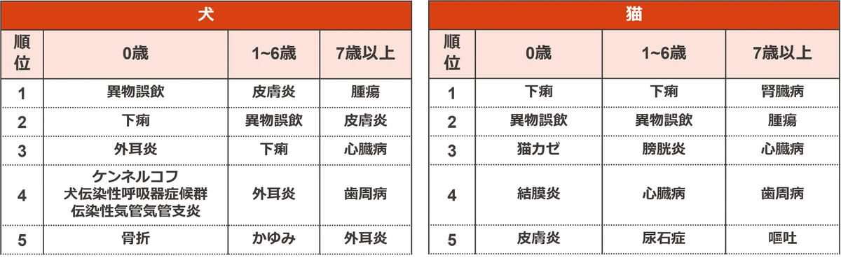 保険金請求が多いペットの傷病ランキング2025 画像 7