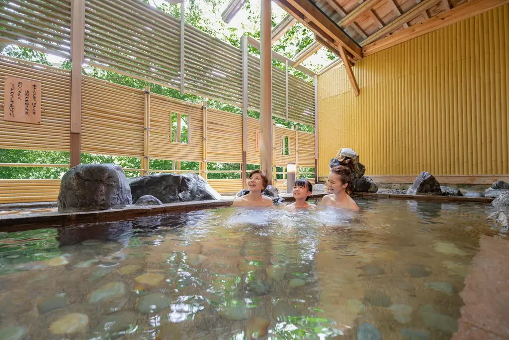 賢く旅する方必見！温泉旅を何度でも。なんと1泊2食付きで8,980円！【お湯得プラン】が誕生！平日限定！選ばれた特定の宿だけのお値打ちプラン 画像 6