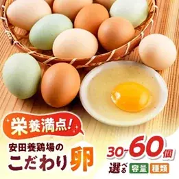 【横須賀市ふるさと納税】ポイント制度廃止の影響で９月の寄附金額が前年同期比360%超に！ 画像 5