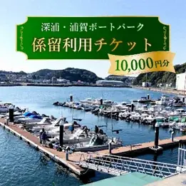 【横須賀市ふるさと納税】ポイント制度廃止の影響で９月の寄附金額が前年同期比360%超に！ 画像 6