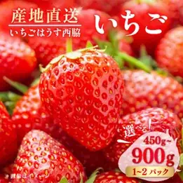 【横須賀市ふるさと納税】ポイント制度廃止の影響で９月の寄附金額が前年同期比360%超に！ 画像 9