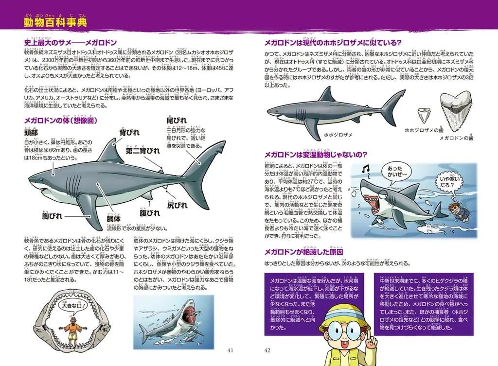 太古の海を支配した巨大ザメ・メガロドンがついに登場！ 『どっちが強い!? 海の無敵チャンピオン 古代の超巨大ザメ』本日2025年9月18日（木）発売！ 画像 4