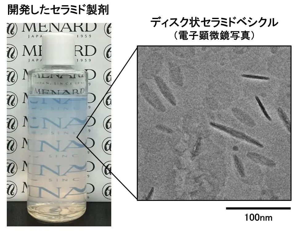 セラミドの安定配合と様々な見た目を両立する独自の製剤技術を開発 ディスク状ベシクルで透明・パール光沢をもつセラミド製剤を実現 画像 2