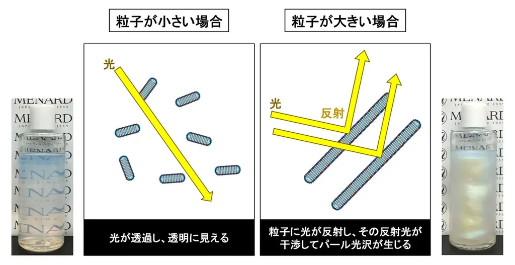 セラミドの安定配合と様々な見た目を両立する独自の製剤技術を開発 ディスク状ベシクルで透明・パール光沢をもつセラミド製剤を実現 画像 3