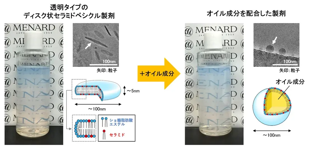 セラミドの安定配合と様々な見た目を両立する独自の製剤技術を開発 ディスク状ベシクルで透明・パール光沢をもつセラミド製剤を実現 画像 4