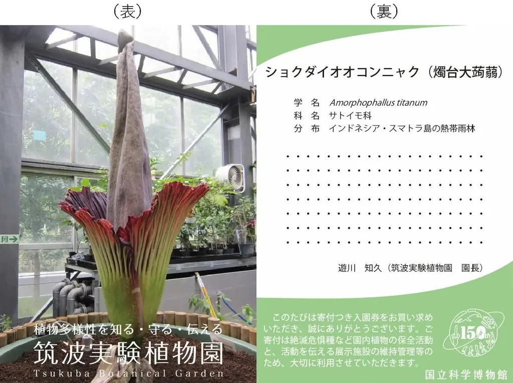 【国立科学博物館】寄付つき入館（園）券 発売のお知らせ 画像 2