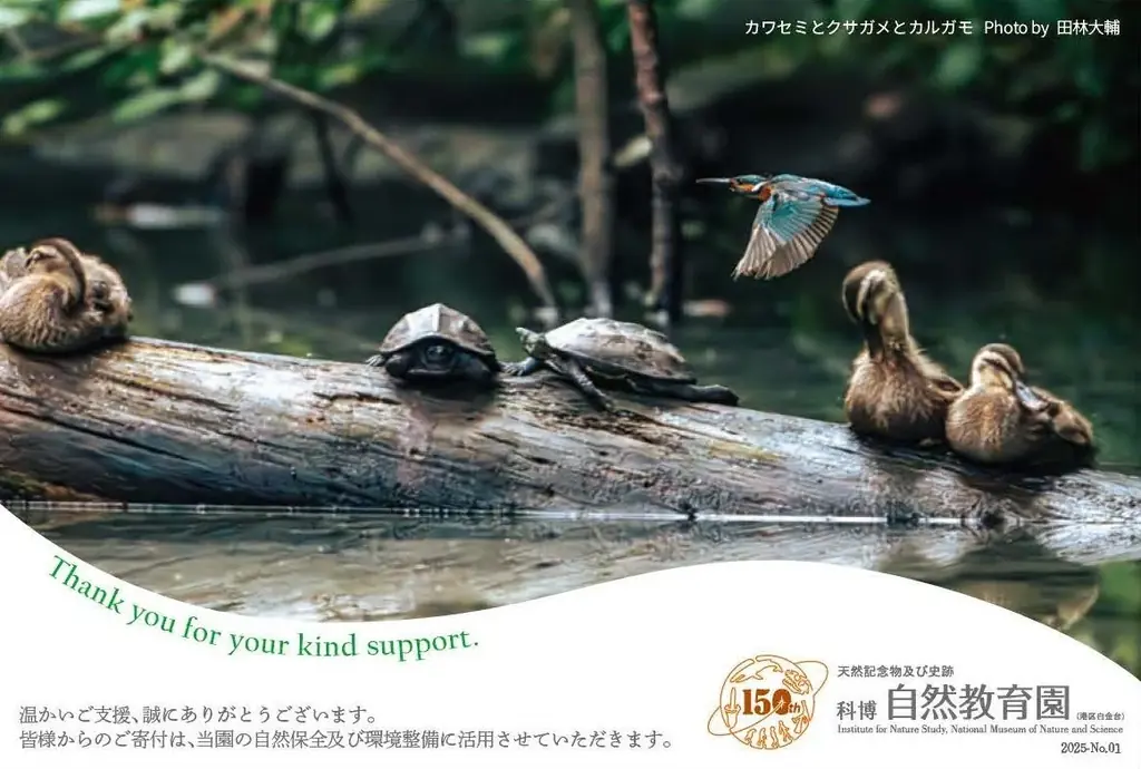 【国立科学博物館】寄付つき入館（園）券 発売のお知らせ 画像 3