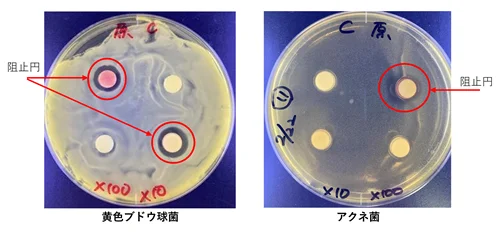 新日本製薬の研究で得られた化粧品原料、法人向けに販売開始 画像 4