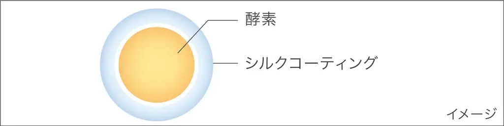 洗顔料(カウンセリング品)市場売上No.1＊1シリーズの【suisai】から毎日のケアで毛穴汚れ・黒ずみ汚れまですっきり落とす 練り酵素洗顔※「スイサイ ビューティクリア ペーストウォッシュ」が登場！ 画像 10