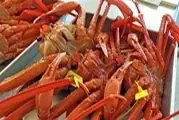 国産水産物の消費拡大へ魅力発信 「漁師さんが選ぶ本当においしい魚を使った簡単お魚料理教室」開催《参加者募集》 画像 7
