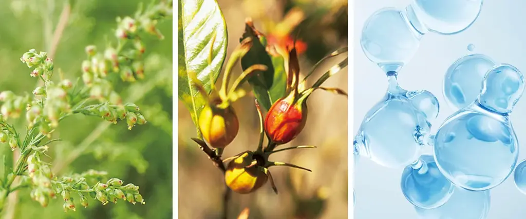 N organic、ヒアルロン酸を“立て直す・与える”のWアプローチで肌のなだれ*¹に待ったをかける、新発想のハリクリームを本日発売 画像 5