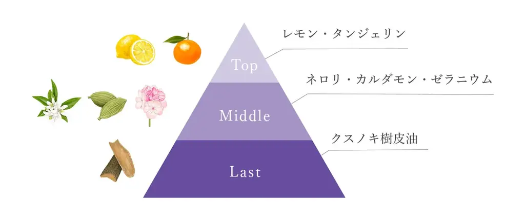 N organic、ヒアルロン酸を“立て直す・与える”のWアプローチで肌のなだれ*¹に待ったをかける、新発想のハリクリームを本日発売 画像 7