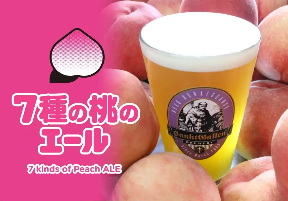 濃厚な桃感はまるでネクター！キズ桃500kgをビールに。サンクトガーレン「7種の桃のエール」を9月25日より直営店、オクトーバーフェスト（横浜・厚木）で樽生販売 画像 1