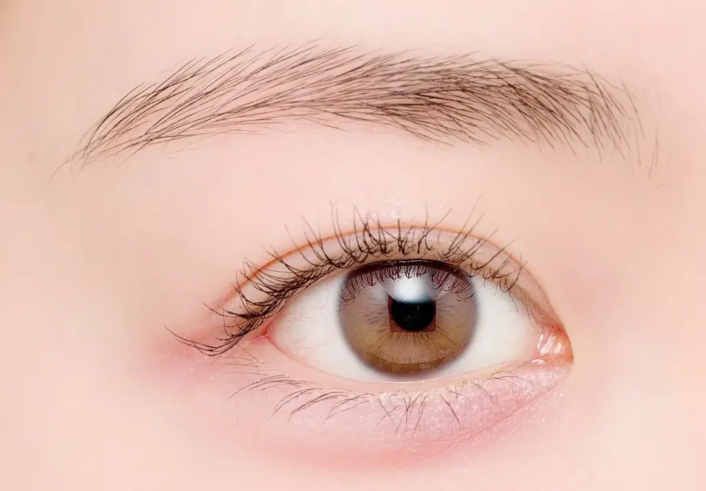 【キャンメイク】とことん“盛れる”涙袋用アイシャドウ「プランぷくコーデアイズNeo」新色と生まれつき風涙袋をつくる細芯コンシーラー「アイバッグコンシーラー」限定色が登場！2025年9月下旬より発売 画像 3