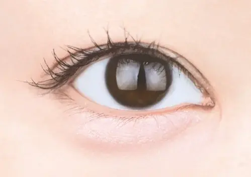 【キャンメイク】とことん“盛れる”涙袋用アイシャドウ「プランぷくコーデアイズNeo」新色と生まれつき風涙袋をつくる細芯コンシーラー「アイバッグコンシーラー」限定色が登場！2025年9月下旬より発売 画像 6