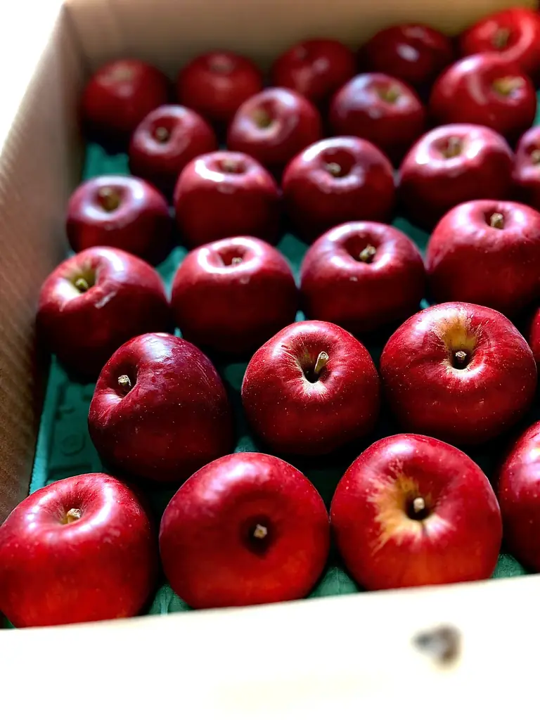 【 アップルパイとバウムクーヘンが奇跡の合体！】 画像 3