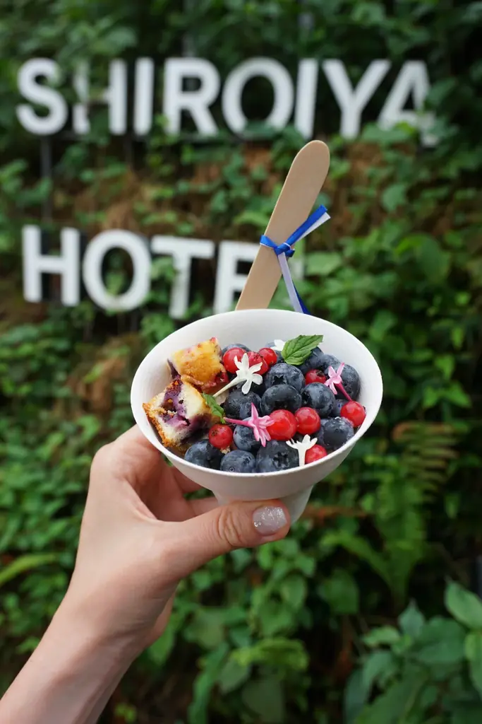 白井屋ホテル　開業5周年記念イベント　ラウラ・コピロウ監修　幸せの国フィンランドの食＆文化に触れる「白井屋ホテル：フィンランドフェア」開催 画像 2