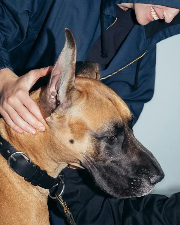 【September Collection for SEE SEE】“Dickies × SEE SEE”のコラボレーションアイテムが登場 画像 3