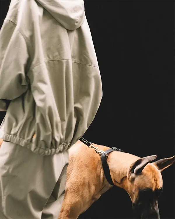 【September Collection for SEE SEE】“Dickies × SEE SEE”のコラボレーションアイテムが登場 画像 9