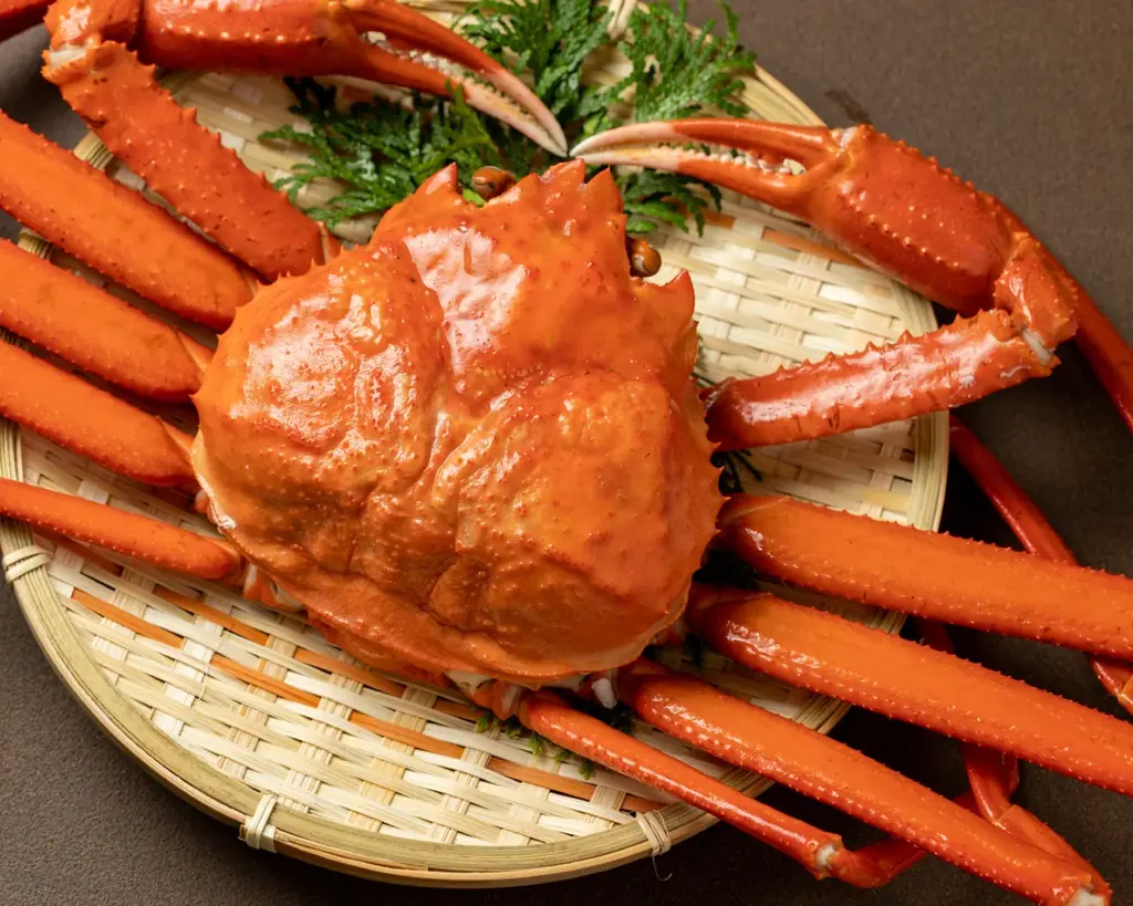 【愛知県蒲郡市】無料でバーベキューとカキダオレの牡蠣が食べられる！カメラ講習会やダンス、太鼓演舞、ワークショップと催し物も多数の1日限定イベントがシーサイドマジックで開催!! 画像 7
