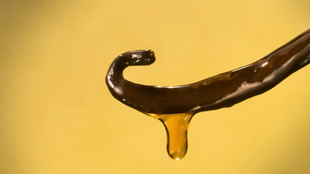 横浜バニラ、待望の【常設第一号店】が横浜高島屋にグランドオープン！ここでしか味わえない生スイーツ《クリームフィナンシュー ダブル生》を期間限定発売！ 画像 17